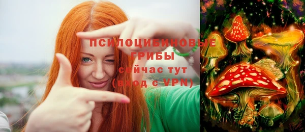 стафф Беломорск